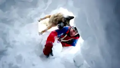 kayak yaparken çığ ve donmalara karşı tavsiyeler