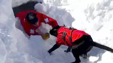 Kayak yaparken kaybolmayın